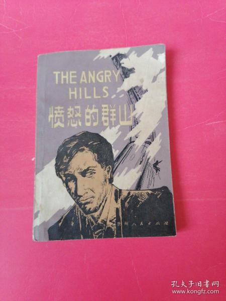 愤怒的群山：1984年5月1版1印。
