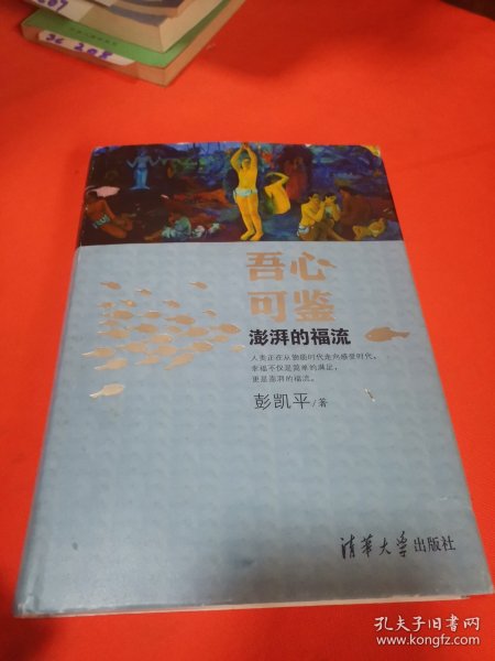 吾心可鉴：澎湃的福流