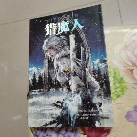 猎魔人卷六：雨燕之塔