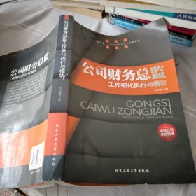 公司财务总监工作细化执行与模块