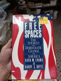 FREE SPACES THE SOURCES OF DEMOCRATIC CHANGE IN  AMERICA