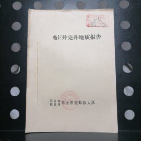 临12井完井地质报告【内附图表】