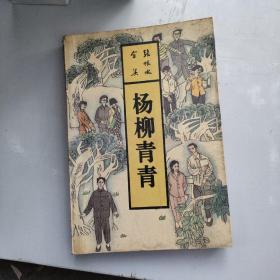 杨柳青青：张恨水全集 第24卷