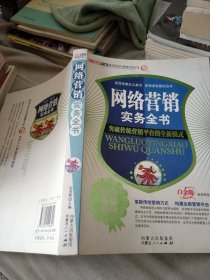 网络营销实务全书：突破传统营销平台的全新模式