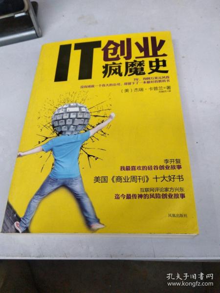 IT创业疯魔史