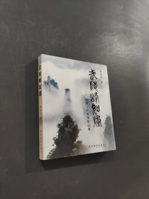 武陵峰如煙