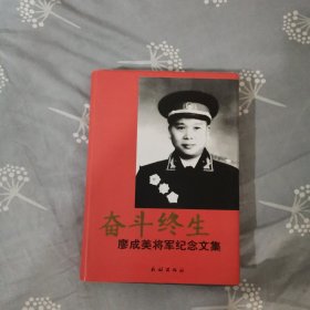 奋斗终生——廖成美将军纪念文集（精装）