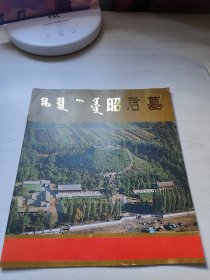 昭君墓