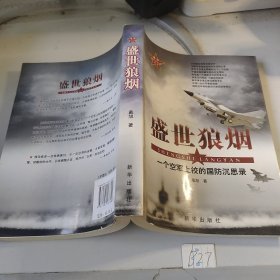 盛世狼烟：一个空军上校的国防沉思录