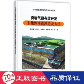 页岩气藏有效开发非线性渗流理论及方法