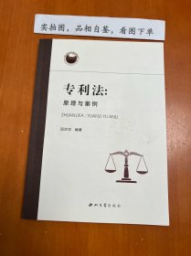 专利法：原理与案例