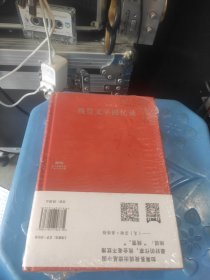 残雪文学回忆录