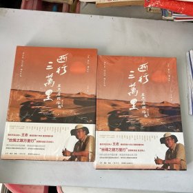 西行三万里：王志看丝路 两本随机发，有点压痕见图