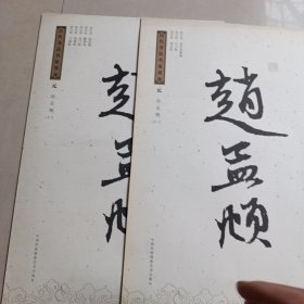 历代书法家墨迹，赵孟頫（一，二）两本合售