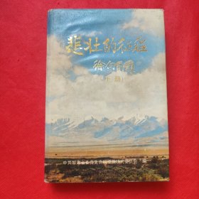 悲壮的征程：下册（精装）