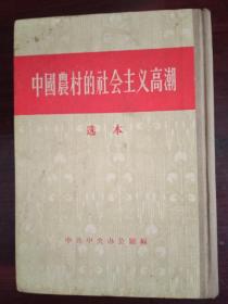 中国农村的社会主义高潮（选本）