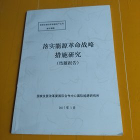 落实能源革命战略措施研究（结题报告）