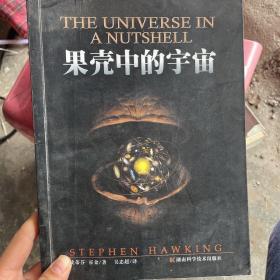 果壳中的宇宙