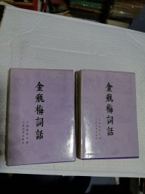 金瓶梅词话 上下  1989年一版一印