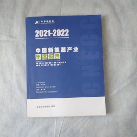 2021-2022中国新能源产业年度报告