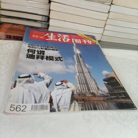三联生活周刊——何谓迪拜模式
