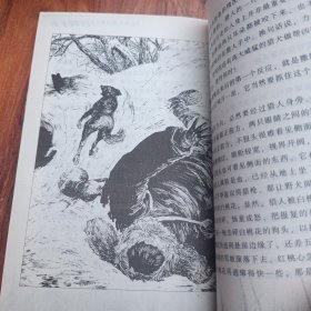 野犬女皇：动物小说大王沈石溪.品藏书系