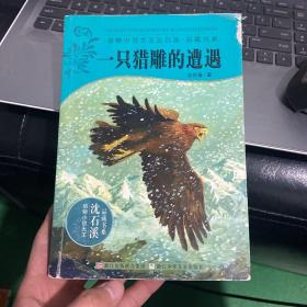 动物小说大王沈石溪·品藏书系·一只猎雕的遭遇