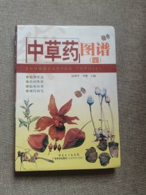 中草药图谱4