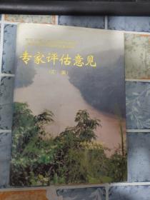 长江三峡工程库区湖北四县淹没处理及移民安置规划专家评估意见汇编