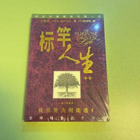 标杆人生：我究竟为何而活？（中文新一版）