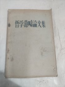 哲学范疇论文集