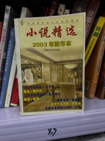 小说精选2003年精华本