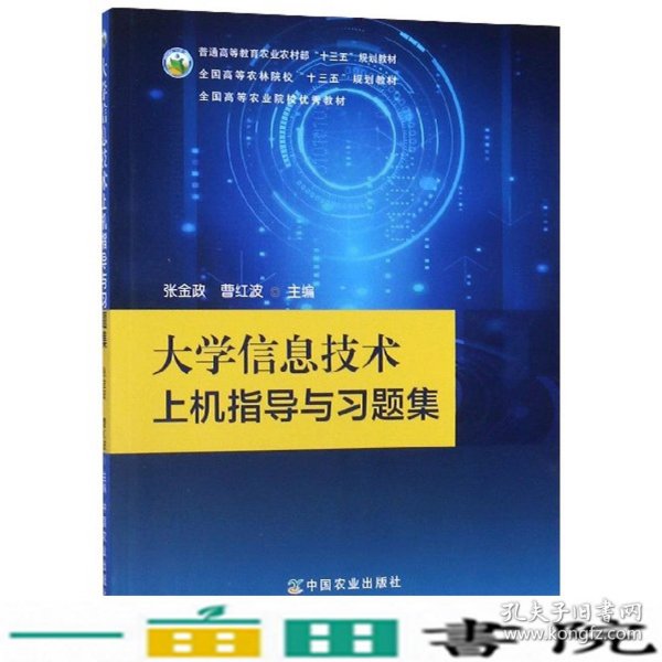 大学信息技术上机指导与习题集张金政中国农业出9787109257245