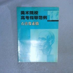 美術(shù)院校高考指導(dǎo)范例石膏像素描