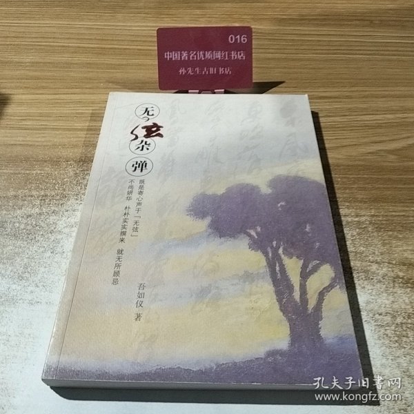 无弦杂弹