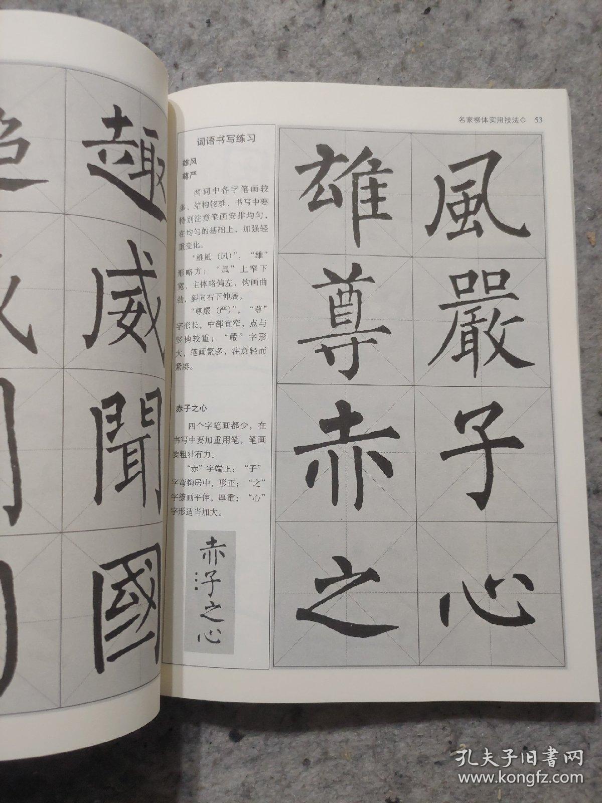 中国名家书法经典技法：名家柳体实用技法