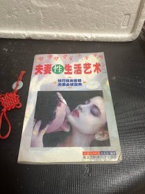 夫妻性生活艺术