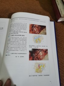 乳腺外科要点与盲点：乳腺外科要点与肓点