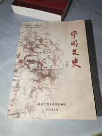 宁明文史【汇编】（包邮）