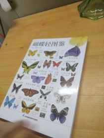 蝴蝶轻图鉴