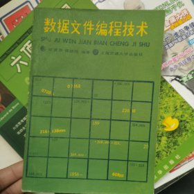 數(shù)據(jù)文件編程技術(shù)