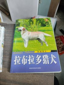 乡间名士：拉布拉多猎犬