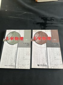 大学物理（上册）/21世纪网络版系列教材