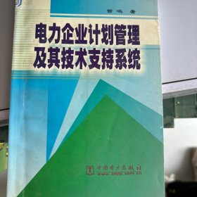 电力企业计划管理及其技术支持系统