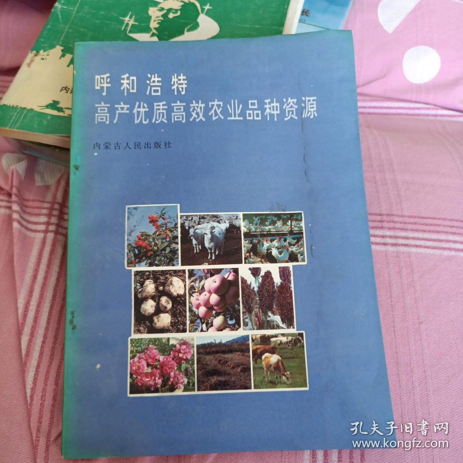 点击查看原图 呼和浩特高产优质高效农业品种资源