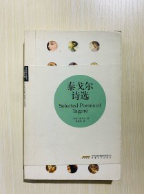 泰戈尔诗选(理想图文藏书·大师新编)