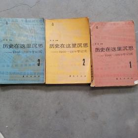 历史在这里沉思＿＿1966一1976年记实＜1，2，3＞册