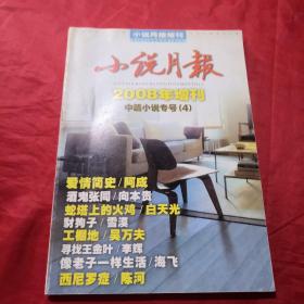 小说月报2008年增刊