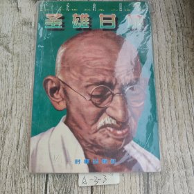 圣雄甘地：世纪的回溯.20世纪名人传略