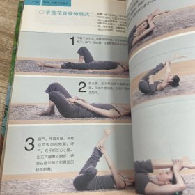 瑜伽从新手到高手